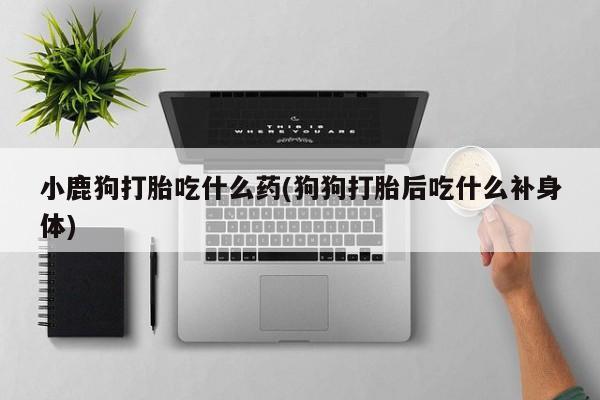 意外怀孕怎么办?打胎药购买微信小鹿狗打胎吃什么药(狗狗打胎后吃什么补身体)