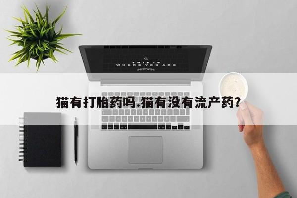 意外怀孕怎么办?打胎药购买微信猫有打胎药吗.猫有没有流产药？