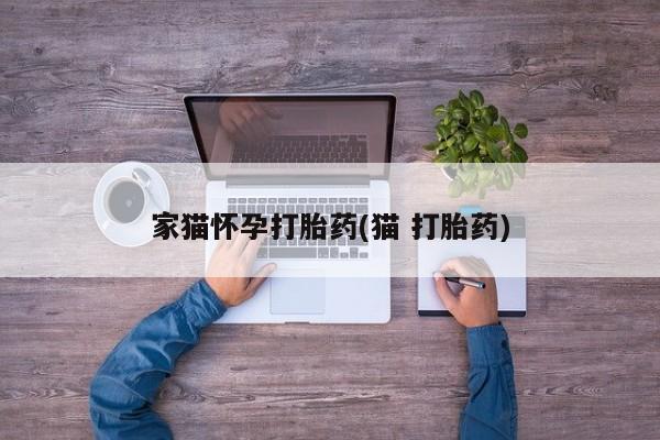 意外怀孕怎么办?打胎药购买微信家猫怀孕打胎药(猫 打胎药)
