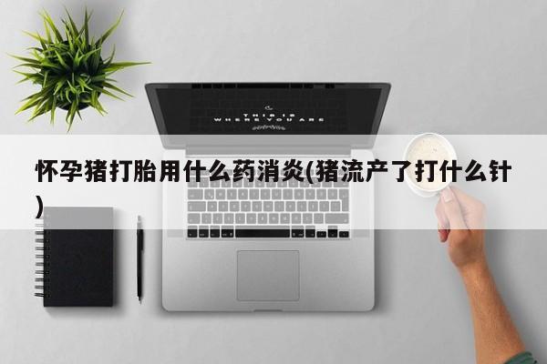意外怀孕怎么办?打胎药购买微信怀孕猪打胎用什么药消炎(猪流产了打什么针)